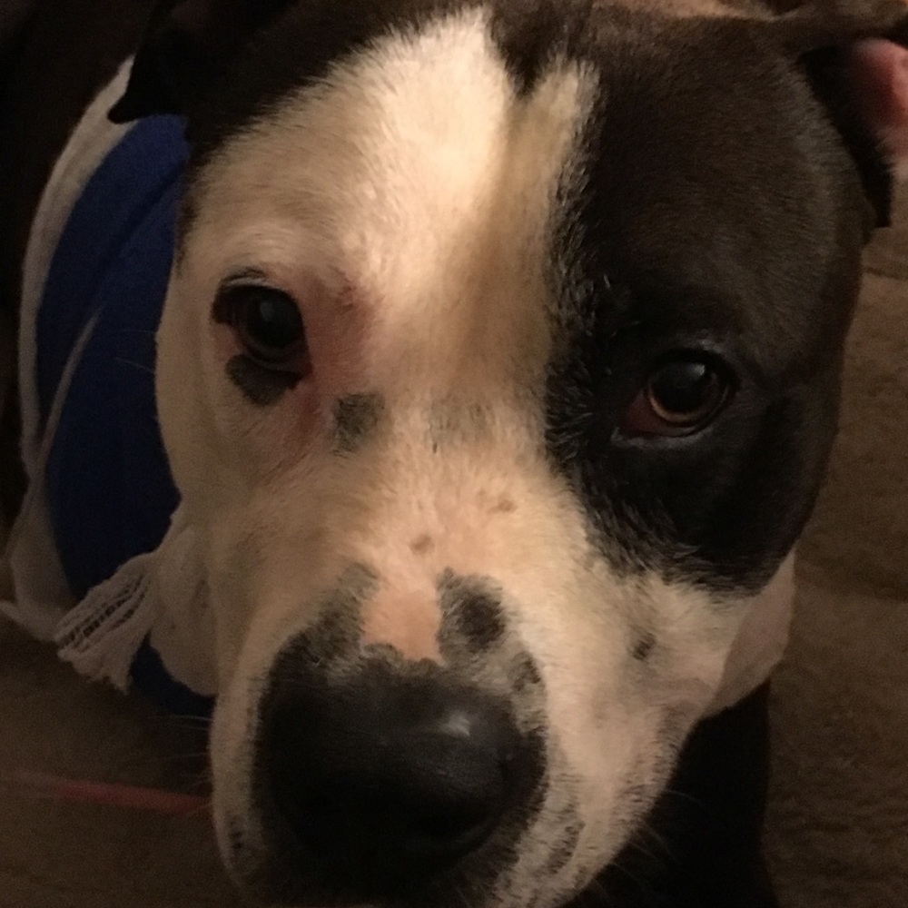 Meet your Posher, Aliza